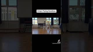 Empi Flying Swallow Bunaki karate hdki karatewithoutborders [upl. by Akierdna]