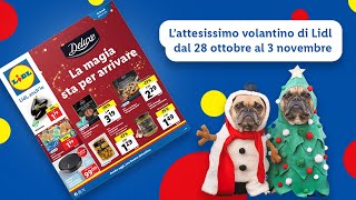 First reaction al nuovo volantino Lidl dal 2810 al 311 top  Lidl Italia [upl. by Barrington]