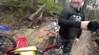 Riding Enduro at Toolangi  Booki Cam Part 1 [upl. by Namialus]