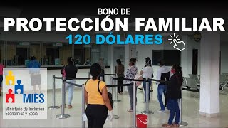 Bono de Protección Familiar 2021 [upl. by Lalise]