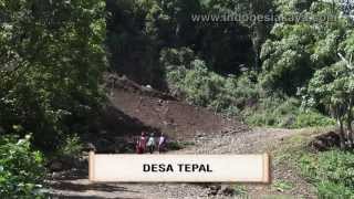 Desa Tepal [upl. by Ydneh]