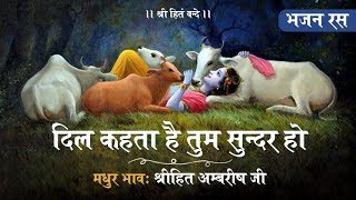 Dil Kehta Hai Tum Sunder Ho  Shree Hita Ambrish Ji  Best Krishna Bhajan [upl. by Gnni545]