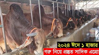 2024 কুরবানী ঈদে ঢাকার সাদিক এগ্রো ১ হাজার দেশি ও বিদেশি গরু নিয়ে প্রস্তুত Sadeeq agro farm [upl. by Einimod]