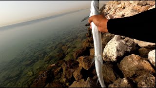 Needlefish lure fishing can sadik mo ako catch A Needlefish [upl. by Hokanson]