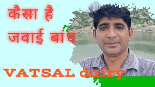 About Jawai Dam  Kisne Banaya Jawai Dam  VATSAL dairy [upl. by Hurwit]