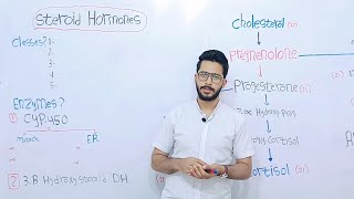 steroid Hormones biosynthesis [upl. by Azitram56]