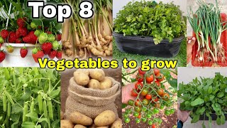 Top 8 vegetables we can grow at home  Garden  The one page English cc [upl. by Gilbertine]