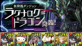 【ラグドラ降臨】破神機龍にウルフデイトナで攻略＆周回！！【パズドラ】【ラグナロク＝ドラゴン降臨】 [upl. by Alliw]