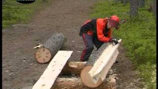 Chainsaw mill with Stihl and Logosol [upl. by Shepperd]