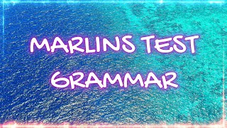 Marlins Test For Seafarer  Grammar [upl. by Lacy]