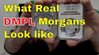 What A Real DMPL Morgan Dollar Looks Like Deepest Mirrors [upl. by Dumm807]