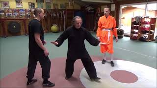 Grandmaster Walter Toch explain the best you can do and use of taiji chen mouvement on selfdefence [upl. by Kcyrred]