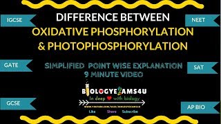 Difference between Oxidative phosphorylation and Photophosphorylation [upl. by Jarid]