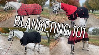 All About Horse Blanketing [upl. by Hauck764]