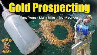 Gold Prospecting Equipment  GOLDHOG [upl. by Anirec]