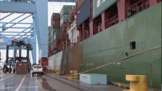 NMSA  Longshore Safety Video 8  Fall from Containers [upl. by Trelu162]