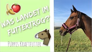 PÜPPIS FÜTTERUNG  Unsere Pferdefutterroutine  Kraftfutter  Futterplan  Pferdefutter  jb Horses [upl. by Lizzy86]