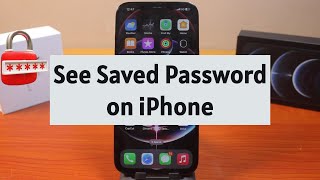 How to See Saved Password on iPhone [upl. by Rhtaeh192]