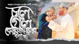 আল্লামা সাইদিকে নিয়ে লেখা সেরা প্রতিবাদি গান  Allama Saidi Best Song allama delwar hussain saidi [upl. by Donna]