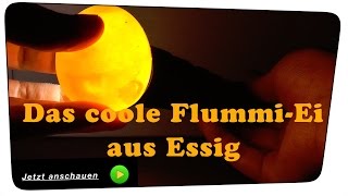 Ei und Essig Experiment Das Flummi Ei  ExperimentTutorial [upl. by Weissmann120]