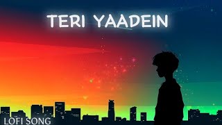 Teri Yaadein  Lofi Song [upl. by Salmon]