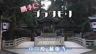 【Vlog】勝手にブラタモリ 〜小田原 最乗寺〜 神秘的な森の中で天狗と遭遇！ [upl. by Atsiuqal]