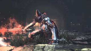 Dark Souls 3  Abyss Watchers Boss Fight Walkthrough 1080P HD [upl. by Nitsirk]