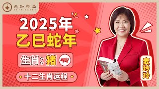 麦玲玲师傅详解2025蛇年运程：生肖猪！事业运、财运、人际关系、爱情、婚姻、健康全解析！ [upl. by Oirasor]