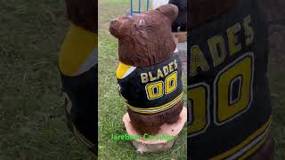 Chainsaw carved brown bear wearing a Boston Bruins jersey Loved making this one [upl. by Nnalyrehs763]