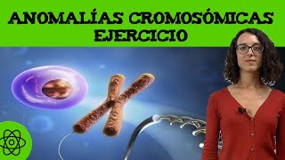 Ejercicio de anomalías cromosómicas 🧬 translocación I [upl. by Vadnee]