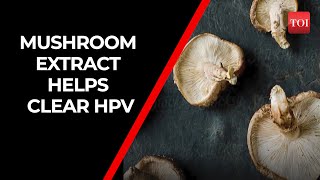 Study Mushroom extract supports clearing human papillomavirus HPV infections [upl. by Nnahsal57]