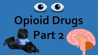 Opioid Drugs Part 2 Addiction and Overdose [upl. by Assennev85]