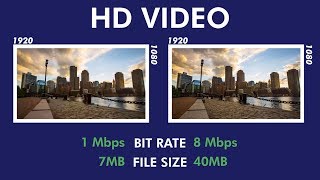 Video Bit Rate An Easy Overview 2023 [upl. by Annaes536]