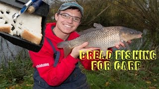 Bread Fishing For Carp  Bread Dobbing [upl. by Charteris217]