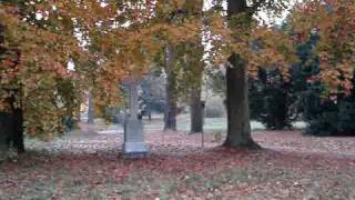 Berlin Volkspark Rehberge Wedding alter Friedhof am Donagestell [upl. by Akemal240]