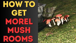 How to Get Morel Mushrooms in Once Human [upl. by Akihsat]