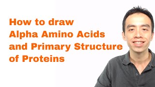 Amino Acids and Proteins How to draw Alpha Amino Acids and Primary Structure of Proteins [upl. by Debi]