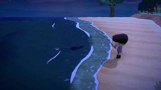 Catching the Oarfish in Animal Crossing New Horizons  Easy bells [upl. by Anivek]