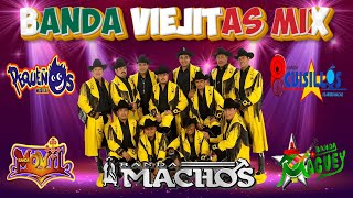 Bana Machos Banda Cuisillos Pequeños Musical Maguey  Bandas Viejitas Pero Bonitas Mix [upl. by Eivad]