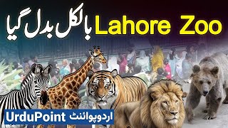 Lahore Zoo Mein Billions Rupees Ki Renovation Kar Ke New Animals And Birds Bhi lahore zoo animals [upl. by Manuel]