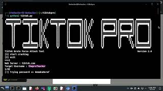 TikTok Pro v20 Tool 2024 [upl. by Anyahs]