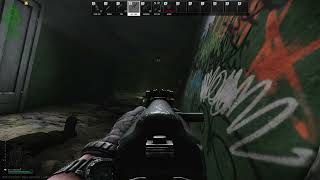 Having a Staredown with Partisan  Tarkov PvE Ep 7 [upl. by Odlanra]