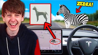 Tesla Can Officially See ANIMALS on Screen Lets test it [upl. by Eltsirhc]