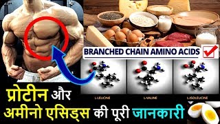 Protein Amino Acids Details in Hindi  Works Benefits Intake and Food Sources  HEALTH JAGRAN [upl. by Znarf326]