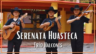 Trío Halcones  Serenata Huasteca [upl. by Yhtuv]