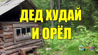 ДЕД ХУДАЙ КУРИТ АНАШУ  ОРЁЛ НА ОХОТЕ [upl. by Borrell688]