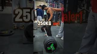 Road to 300kg under 70kg 🦍 deadlift powerlifter gym youtubeshorts [upl. by Iosep]