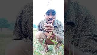 Jara sa jhum lun me ar nare nare na skdhamal trendingshorts shortvideo challenge giridih [upl. by Ived95]