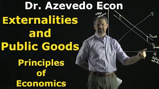 Chapters 10 and 11 Externalities and Public Goods [upl. by Ezarra]