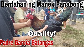 MGA QUALITY ANG MANOK Bentahan ng Manok Panabong sa Padre Garcia Batangas [upl. by Airebma]